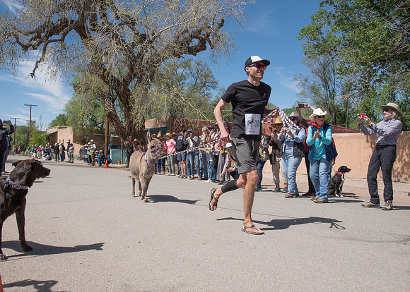 Pack Burro Races 2023_7554