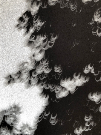 Leaf patterns on the wall during eclipse