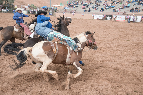 Rodeo Rescue